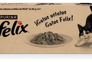 Felix Saboressurtidos